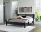 Danziar Queen Panel Bed with Mirrored Dresser and Chest